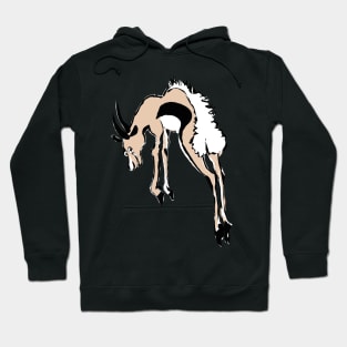 Springbok Hoodie